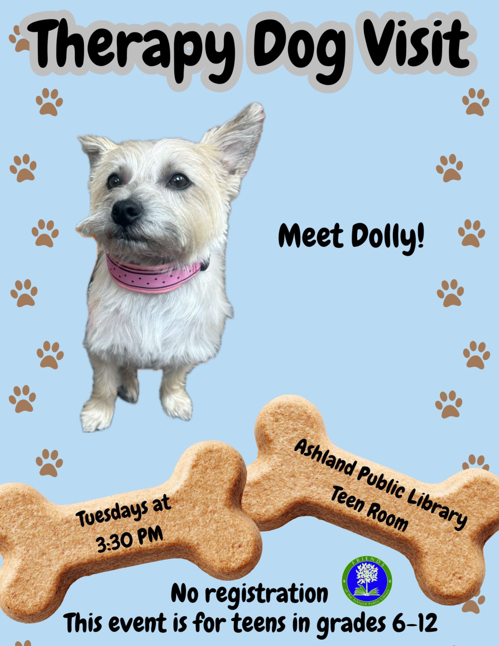 Teen In Person - Therapy Dog Visit with Dolly