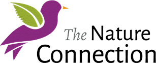 The Nature Connection Storytime for kids with live animal! Ages 3-6 only