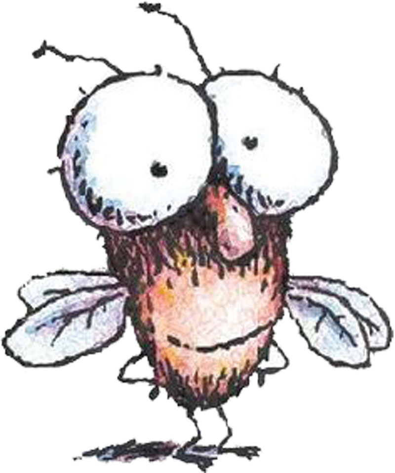 "Fun with Fly Guy" Books Club : "Weird Animals" (grades 1-4)