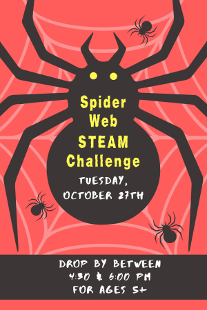 Spider Web STEAM Challenge