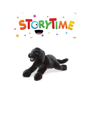 Tuesday Puppet Storytime With Mr. Josh