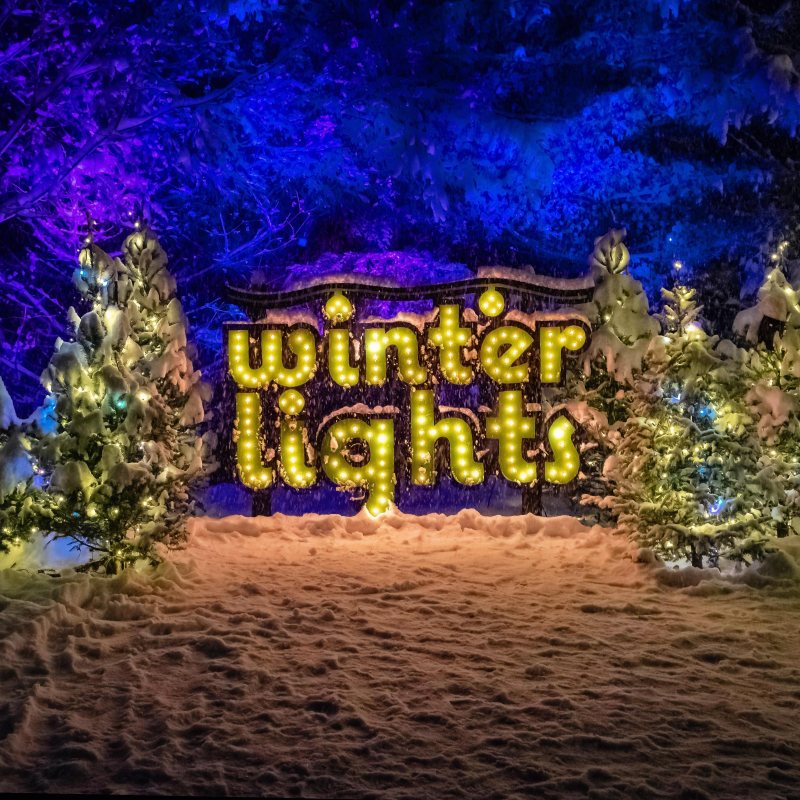 Winterlights at The Bradley Estate