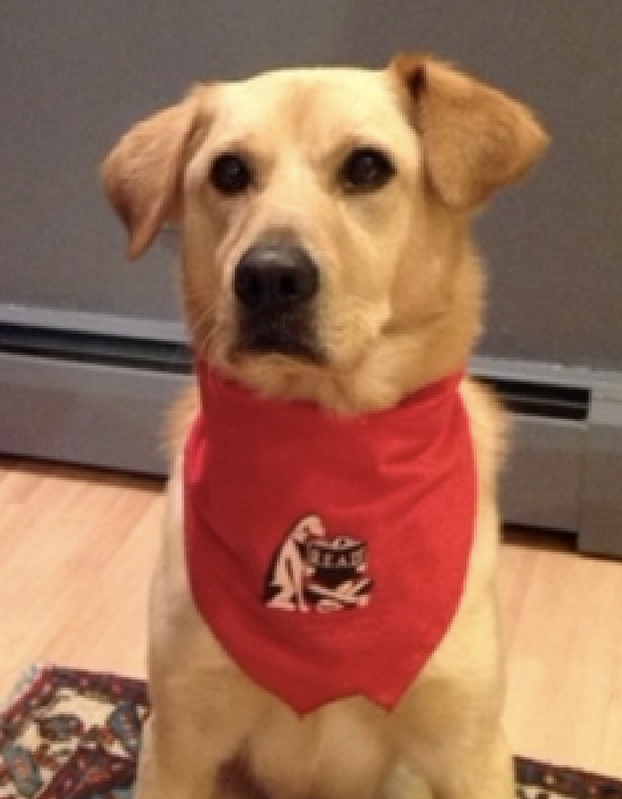 Visit and Read with Friday the Dog!