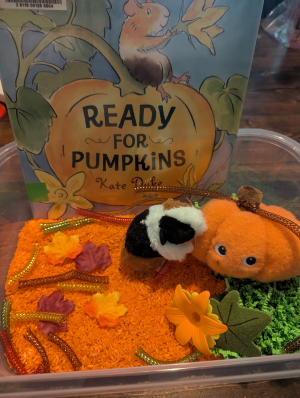 "Fall Sensory Bins" with Ms. Pam (RESCHEDULED FROM 10/10)
