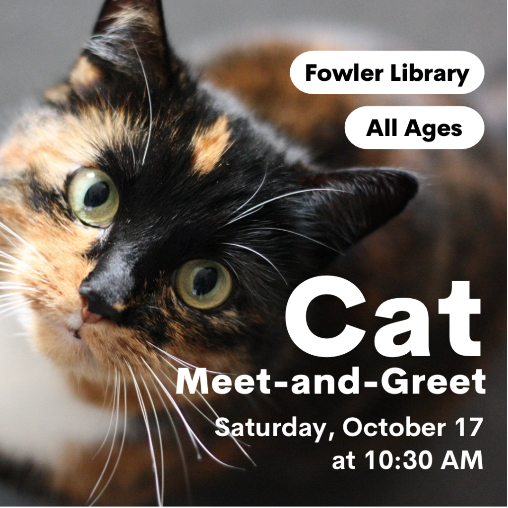 Cat Meet-and-Greet at Fowler
