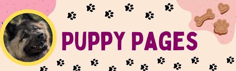Puppy Pages with Amaryllis the Therapy Dog