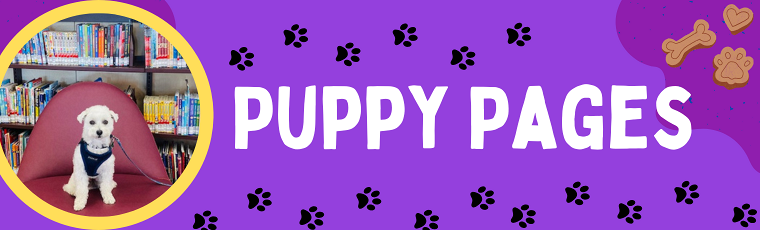 Puppy Pages with Bailey the Therapy Dog