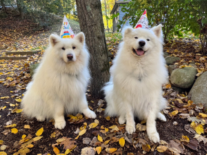 Summit's Birthday Visit