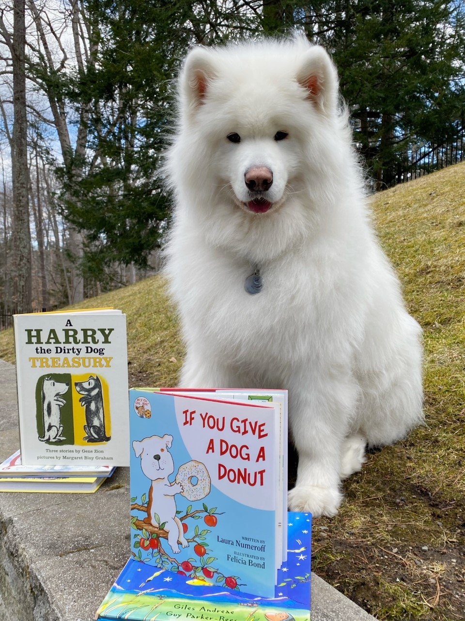 Read to Blitzen