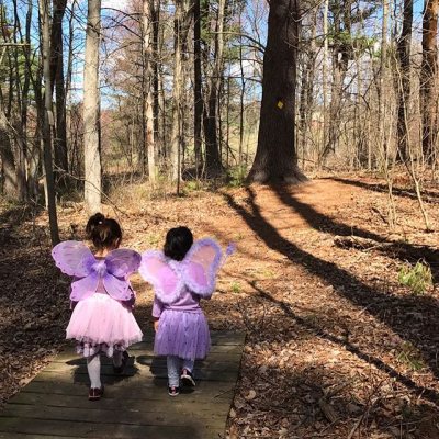Fruitlands Fairy Forest