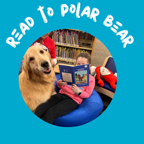 Read to Polar Bear, a Therapy Dog