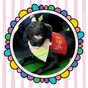 Read to a Therapy Dog