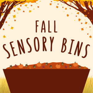 Fall Sensory Bin for Children