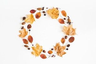 Thanksgiving Crafts