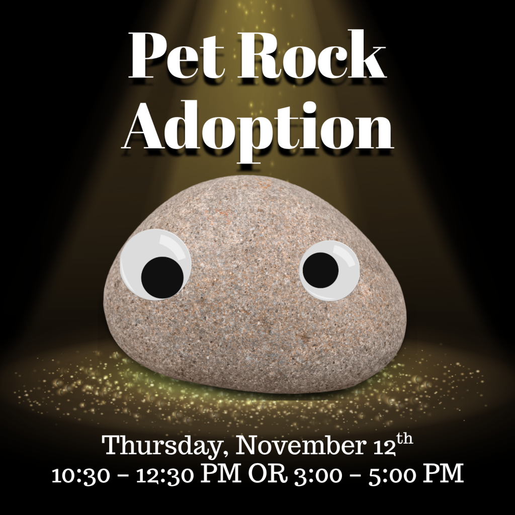 Pet Rock Adoption