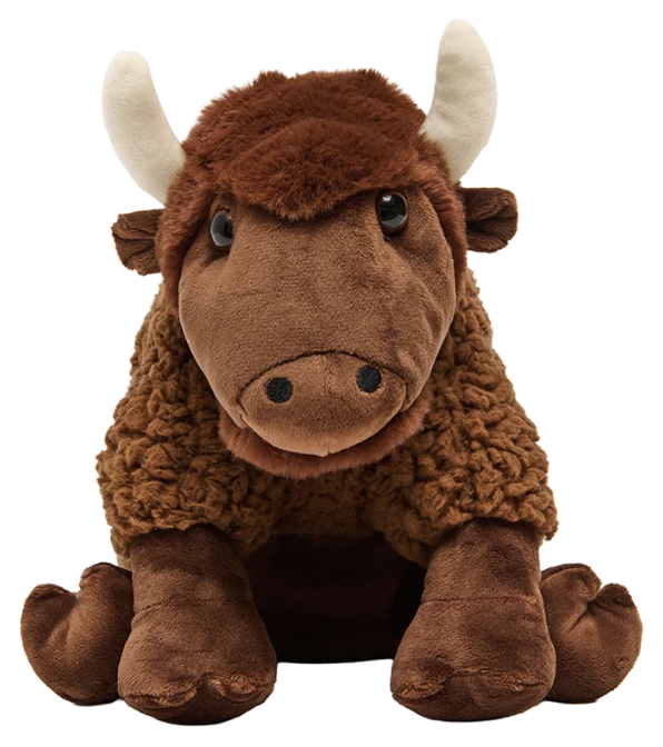 Bison Friends!
