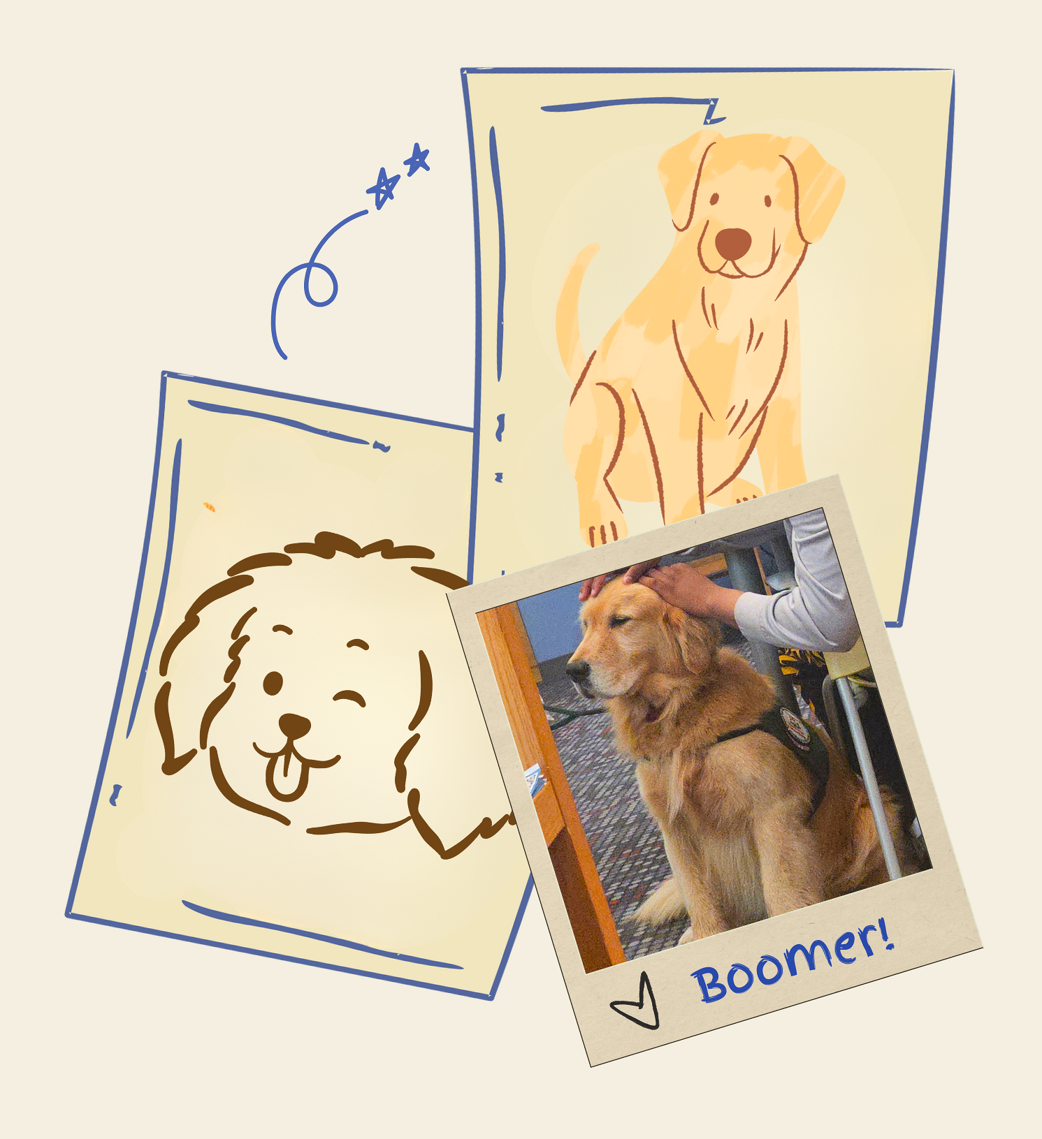 Boomer the Therapy Dog!