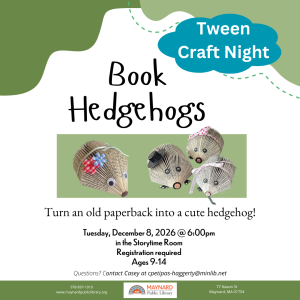 Tween Craft: Book Hedgehogs