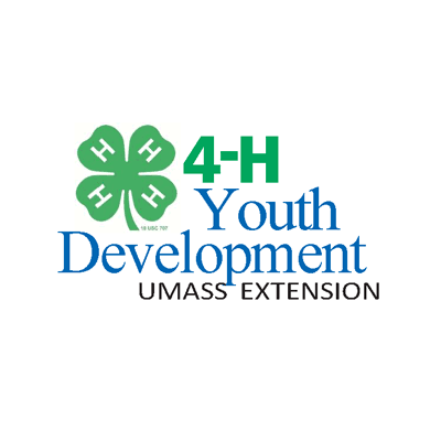 Babysitters' Training 2-Session Course for Ages 11+