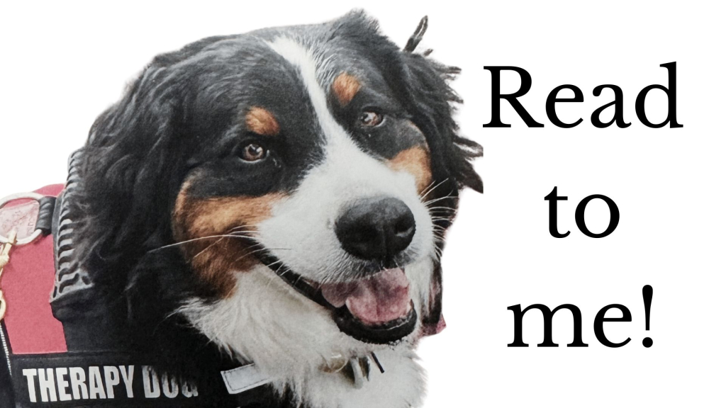 Read to Willow the Therapy Dog!