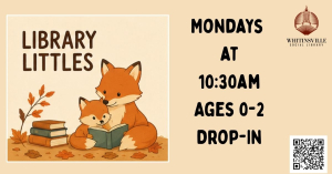 Library Littles Storytime & Playgroup
